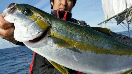 つれ鷹丸 釣果