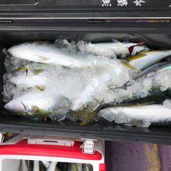 昇丸 釣果