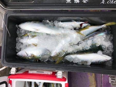 昇丸 釣果