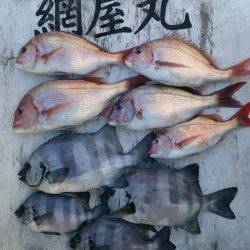 網屋丸 釣果