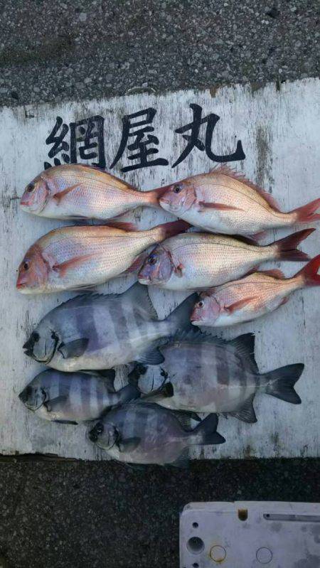 網屋丸 釣果