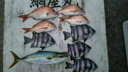 網屋丸 釣果