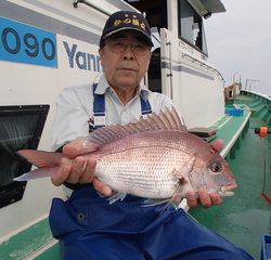 第二むつ漁丸 釣果