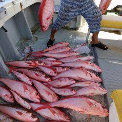 真生丸 釣果