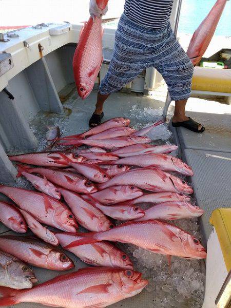 真生丸 釣果