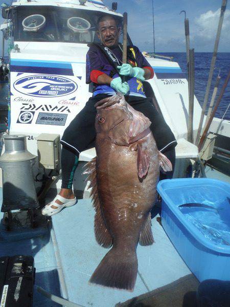 オーシャンパイオニア 釣果