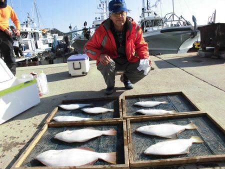 大進丸（愛知） 釣果