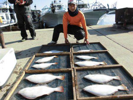 大進丸（愛知） 釣果