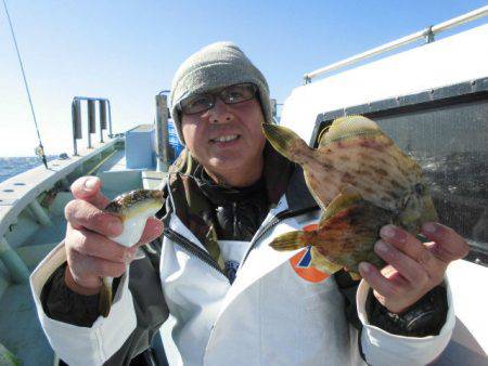 大進丸（愛知） 釣果