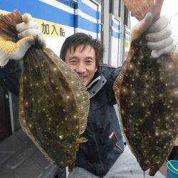 大進丸（愛知） 釣果