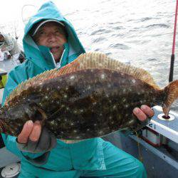 大進丸（愛知） 釣果