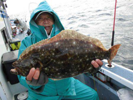 大進丸（愛知） 釣果