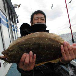 大進丸（愛知） 釣果