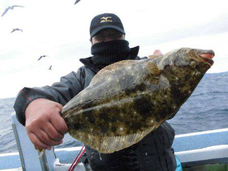 大進丸（愛知） 釣果