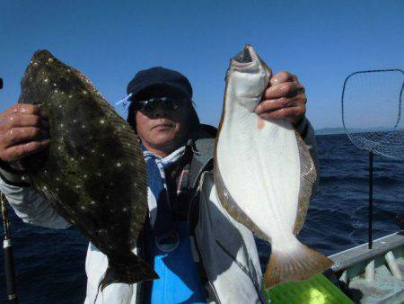 大進丸（愛知） 釣果