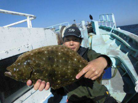 大進丸（愛知） 釣果