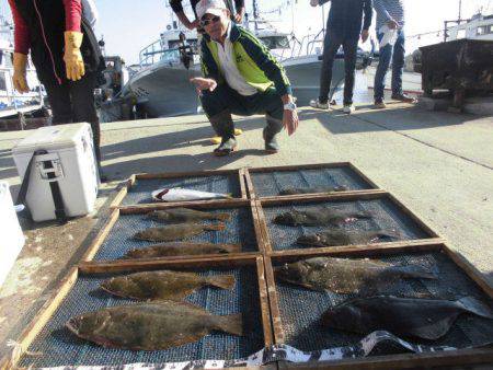 大進丸（愛知） 釣果