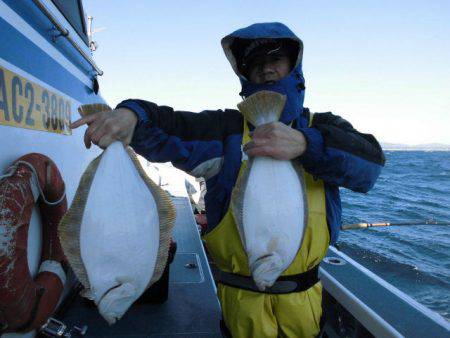 大進丸（愛知） 釣果