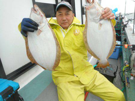 大進丸（愛知） 釣果