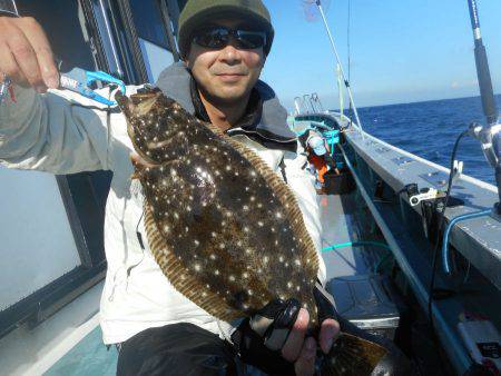 大進丸（愛知） 釣果