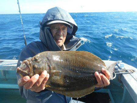 大進丸（愛知） 釣果