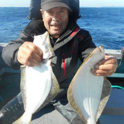 大進丸（愛知） 釣果