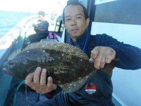 大進丸（愛知） 釣果