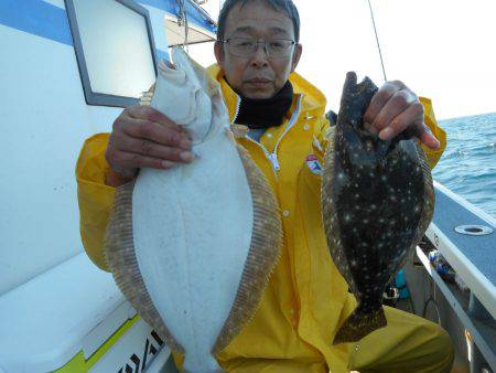 大進丸（愛知） 釣果