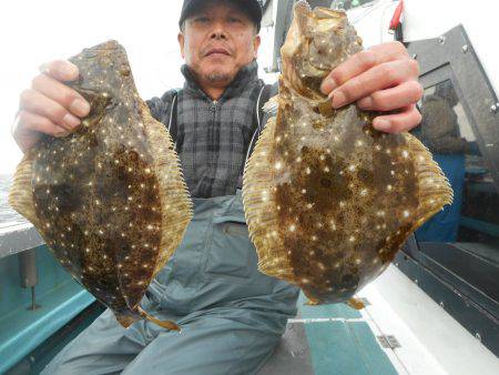 大進丸（愛知） 釣果