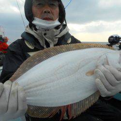 大進丸（愛知） 釣果