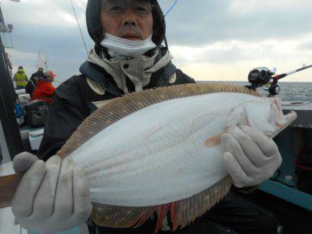 大進丸（愛知） 釣果