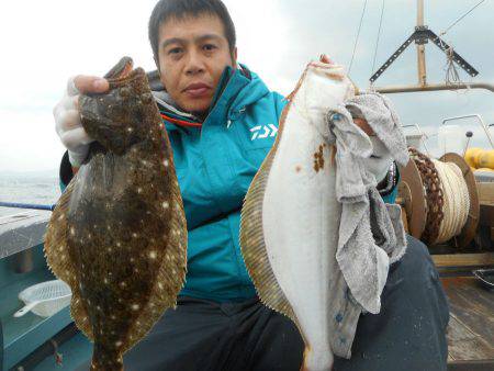 大進丸（愛知） 釣果