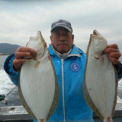 大進丸（愛知） 釣果