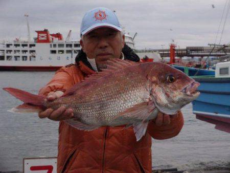 網屋丸 釣果