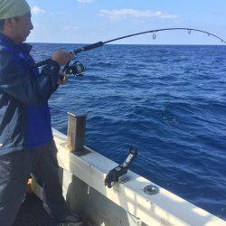 群星・むるぶし 釣果