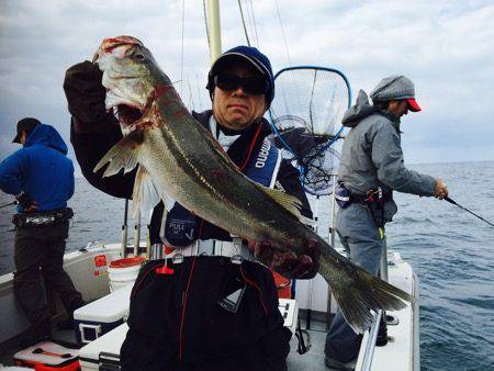 シーモンキー 釣果