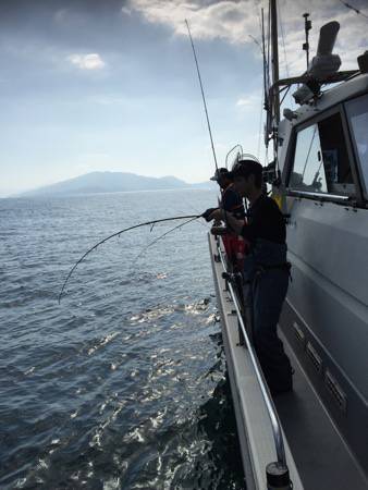 シーモンキー 釣果