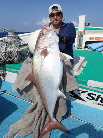 ゆりか 釣果