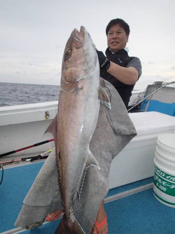 ゆりか 釣果