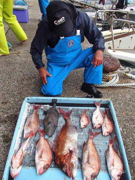 久六釣船 釣果