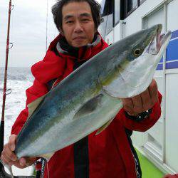 ゆたか丸 釣果