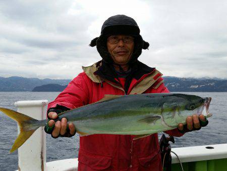 ゆたか丸 釣果