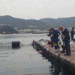 淡路じゃのひれフィッシングパーク 釣果