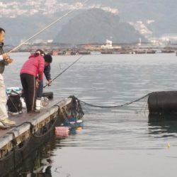 淡路じゃのひれフィッシングパーク 釣果