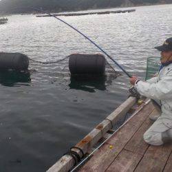 淡路じゃのひれフィッシングパーク 釣果