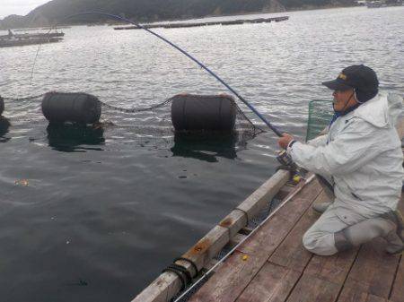 淡路じゃのひれフィッシングパーク 釣果