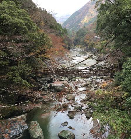 淡路じゃのひれフィッシングパーク 釣果