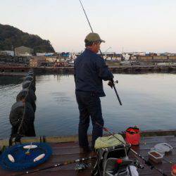 淡路じゃのひれフィッシングパーク 釣果