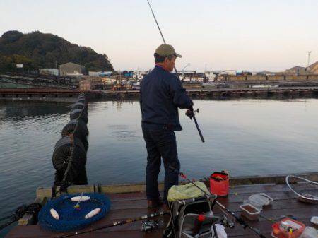 淡路じゃのひれフィッシングパーク 釣果