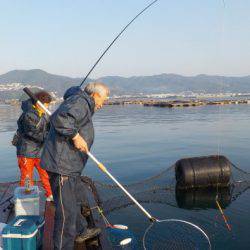 淡路じゃのひれフィッシングパーク 釣果